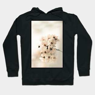 White Cherry Blossom Hoodie